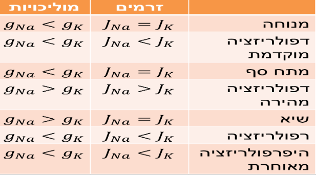 נוירופיזיולוגיה-פפ_מוליכות_זרמים.png