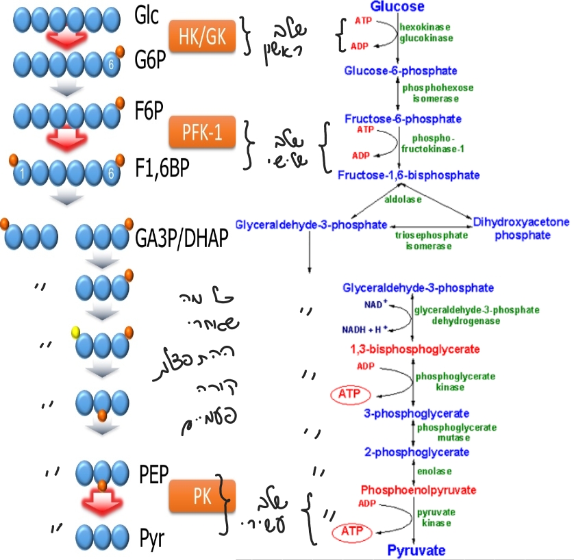 Pasted image 20260217131116.jpg|center|600