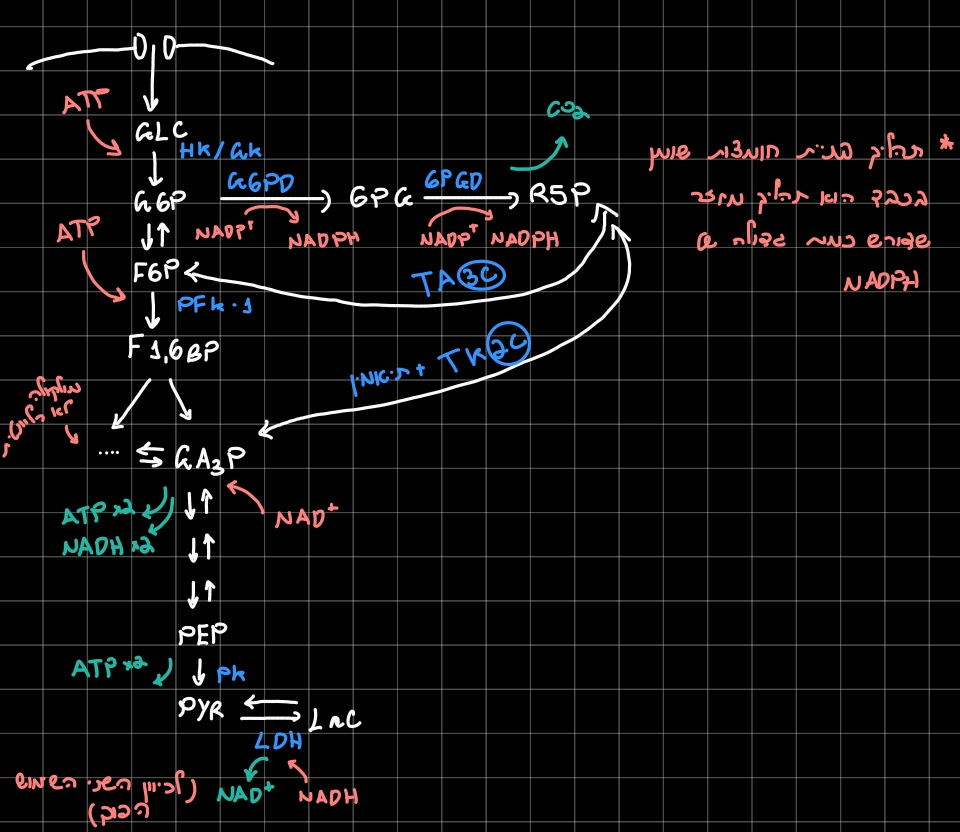 Pasted image 20260217142002.jpg|center|500