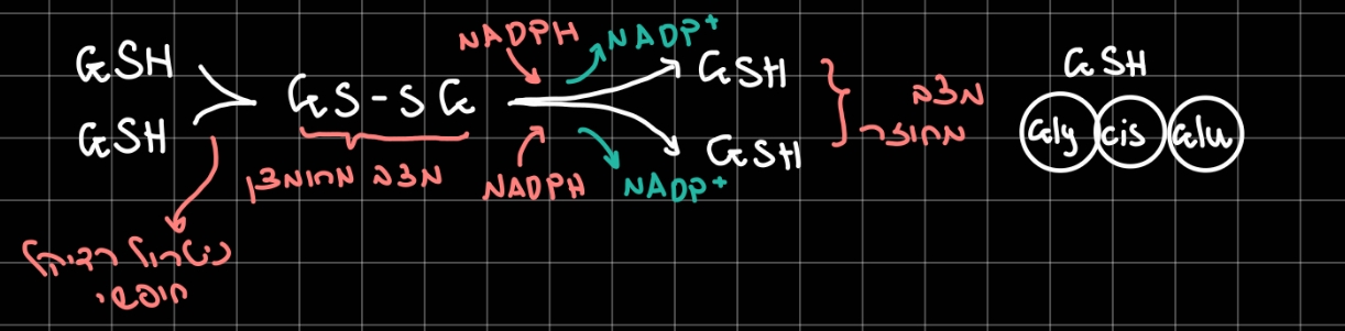 Pasted image 20260217142825.jpg|center|450