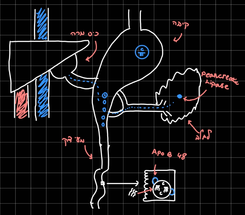 Pasted image 20260217171910.jpg|center|450