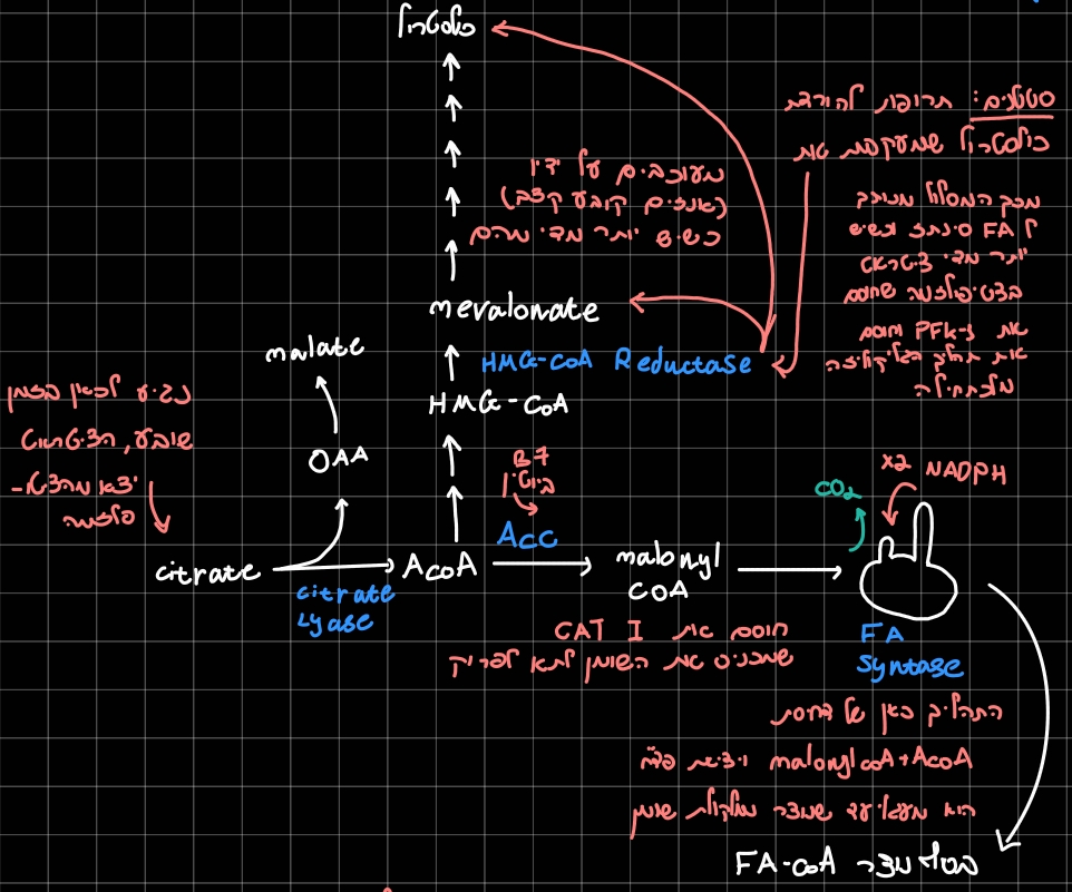 Pasted image 20260217174518.jpg|center|500