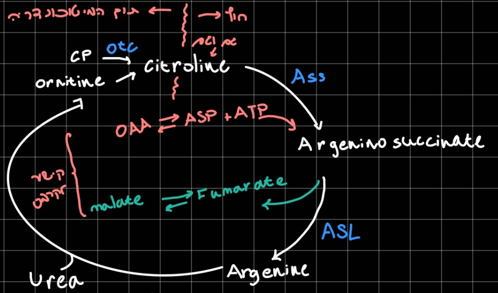 Pasted image 20260217212920.jpg|center|450