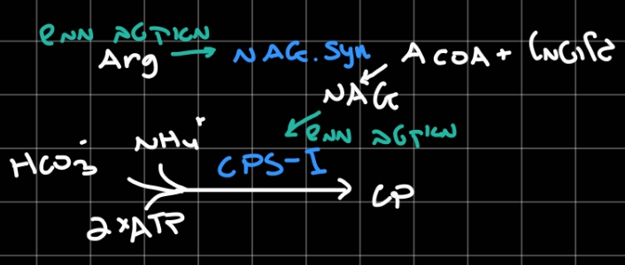 Pasted image 20260217214051.jpg|center|450