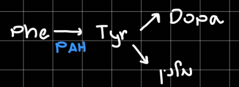 Pasted image 20260217220823.jpg|invert center|250