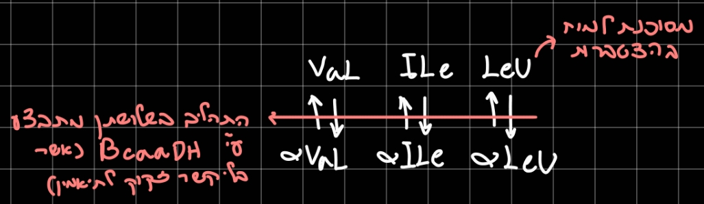 Pasted image 20260217221842.jpg|center| 400