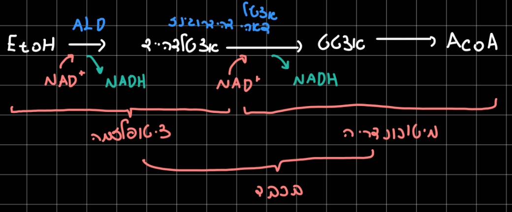 Pasted image 20260217235226.jpg|center|350