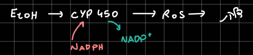 Pasted image 20260217235327.jpg|center|400