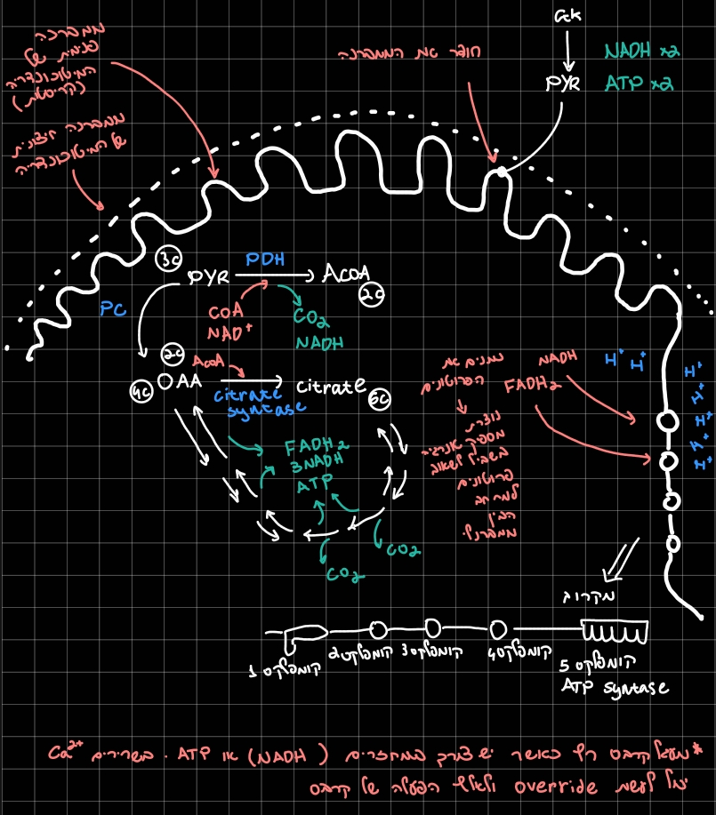 Pasted image 20260301213945.jpg|center|450