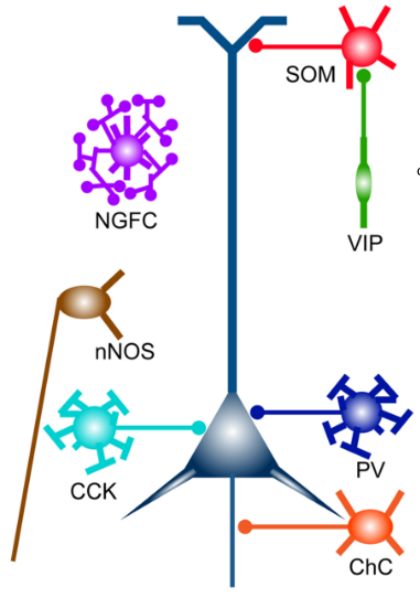 image-10.png|center|250